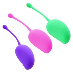 Sincerely Kegel Exercise System 3 Piece Set